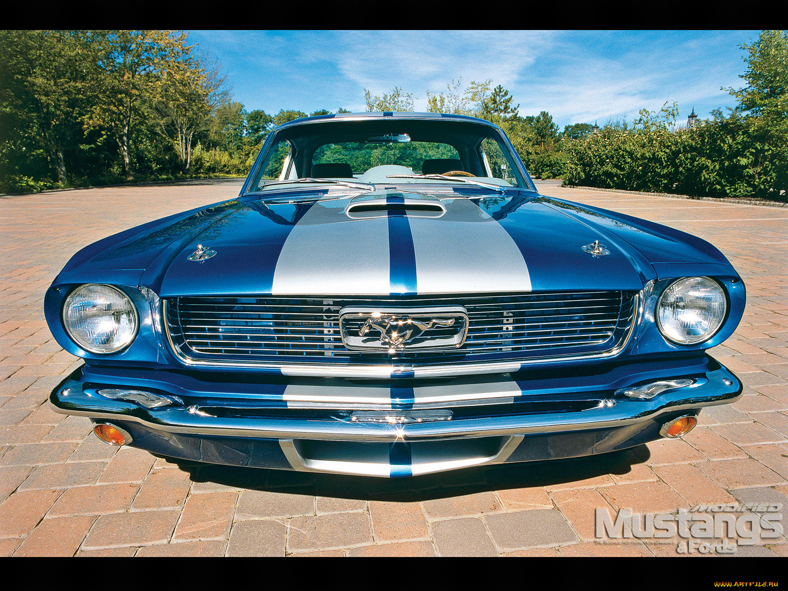 , mustang
